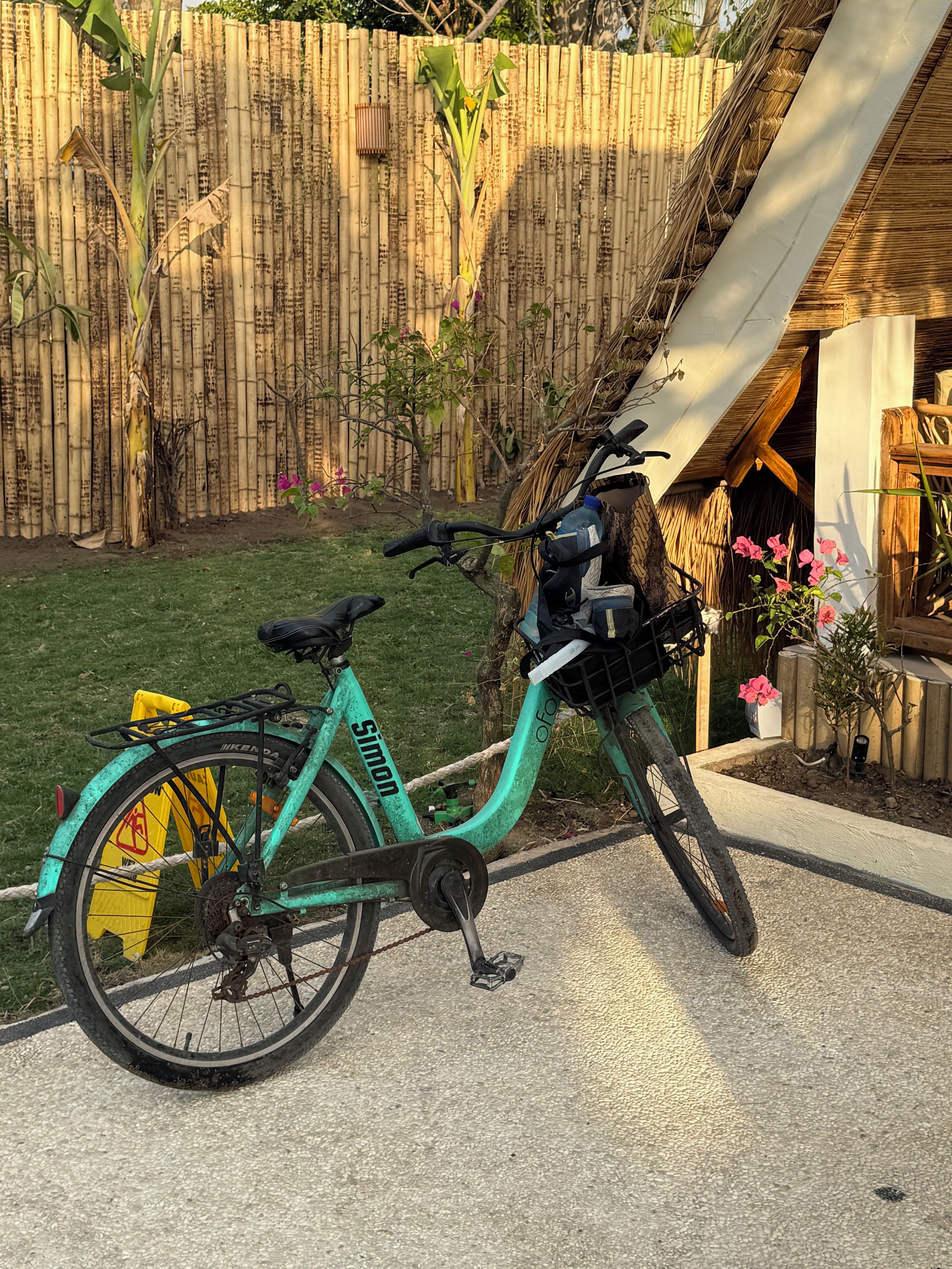 Una bicicleta eléctrica turquesa estacionada sobre una superficie de concreto, con una cerca de bambú y un pequeño jardín al fondo.