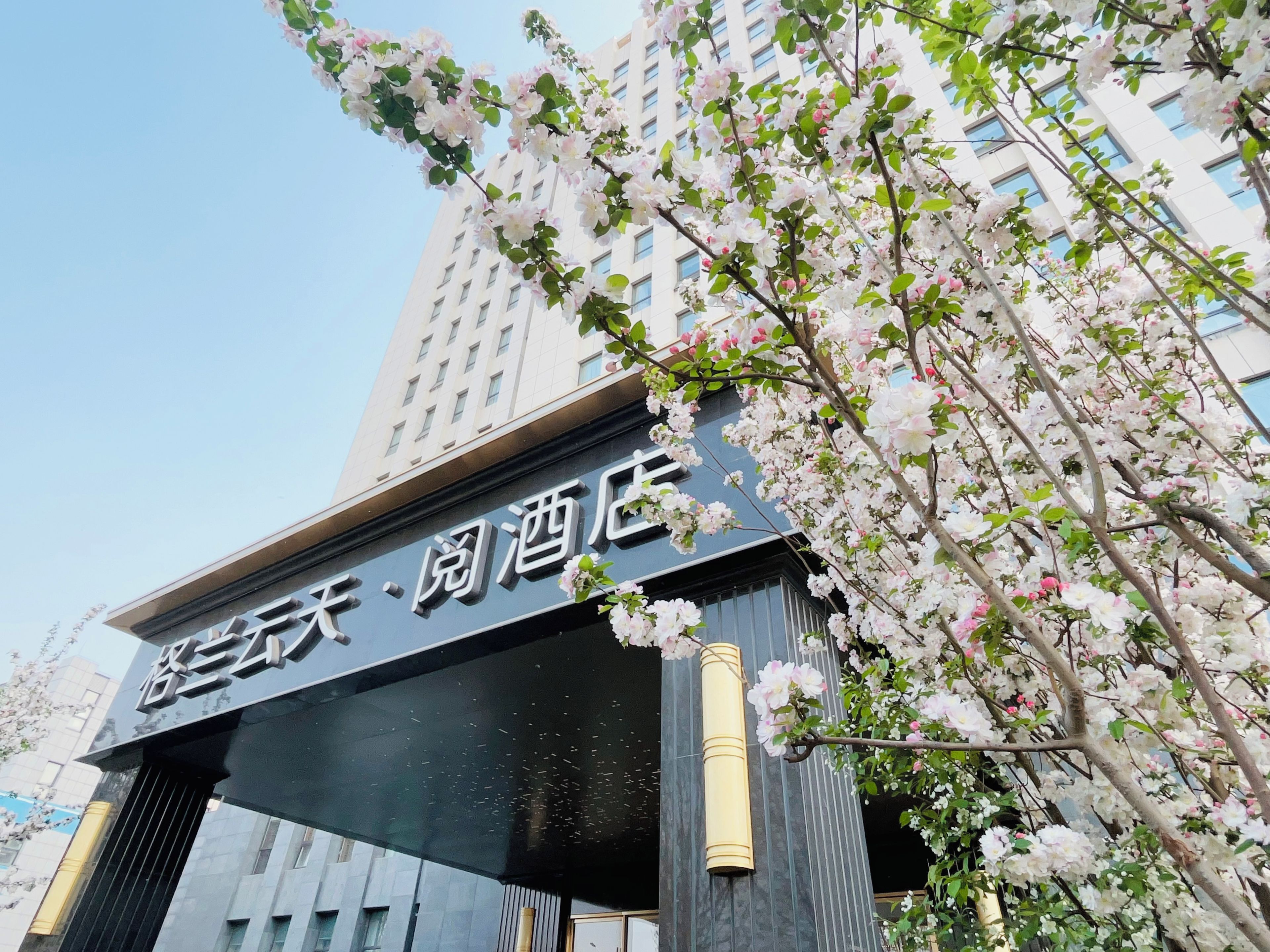 A hotel entrance with a sign in a foreign language, surrounded by blooming trees.