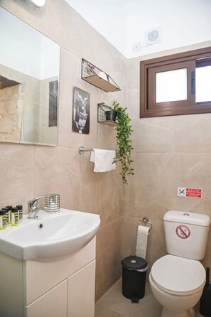 A bathroom with a sink, toilet, and a mirror.