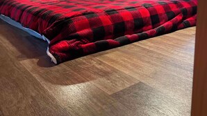 A bedroom with a bed, wooden ceiling, and a window. - Delightful 2-bedroom Tiny home with AC/Heat in Tamworth (Tamworth)