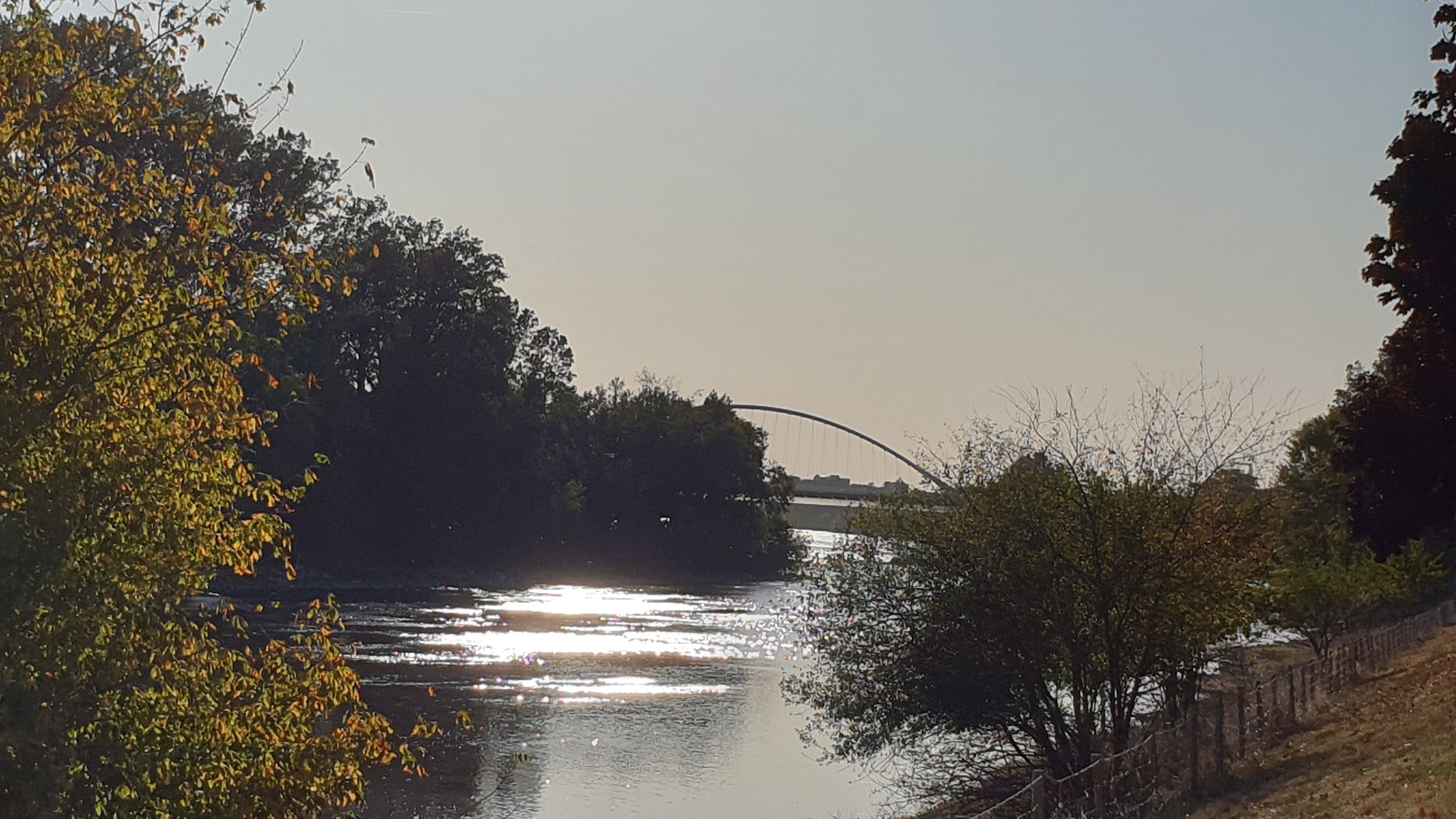 Een rivier met een brug op de achtergrond, omringd door bomen en begroeiing.