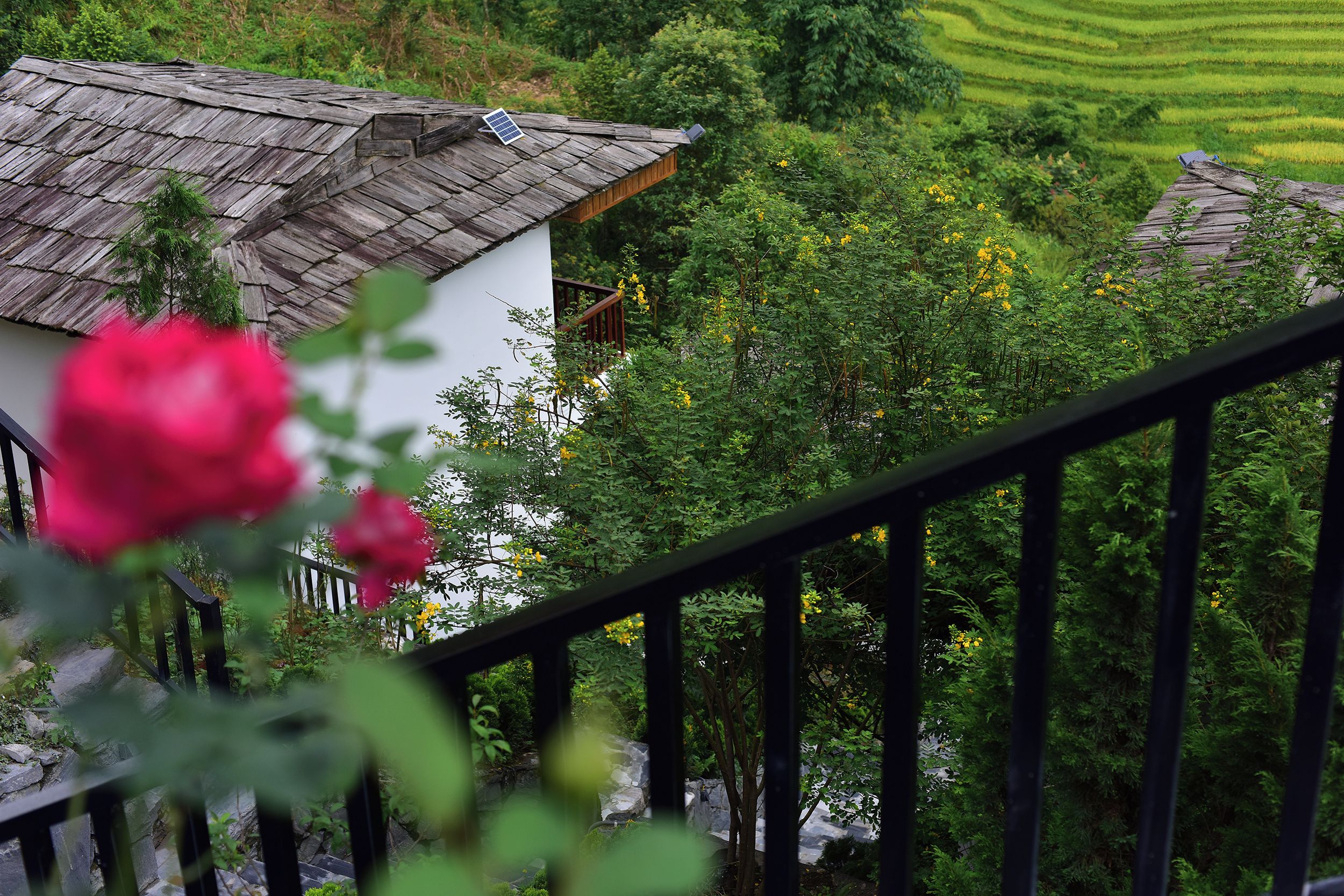 A view from a balcony overlooking a lush green landscape with terraced fields, a white building with a wooden roof, and a black railing.