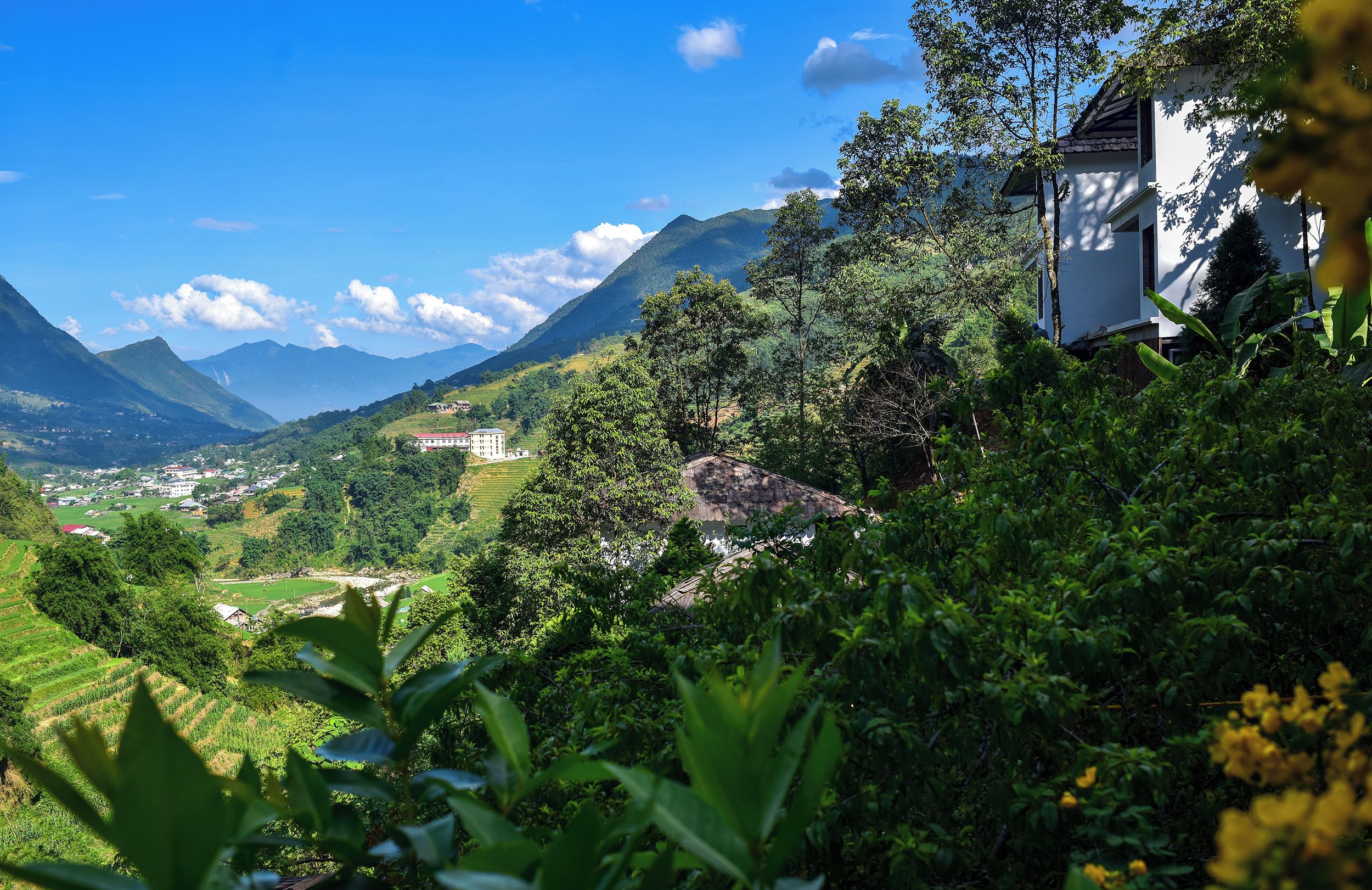 A lush green landscape with a building surrounded by trees and mountains in the background.