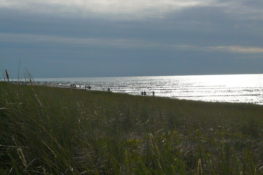 A coastal landscape with a grassy foreground and a beach in the background.