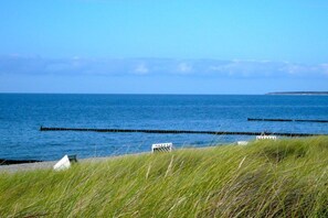 A coastal landscape with a grassy foreground, a calm sea, and a distant shoreline. - Apartment 16 on the 2nd floor of Haus Stranddistel (Zingst)