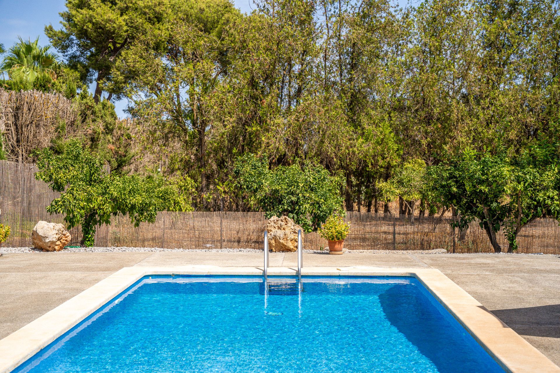 A rectangular swimming pool with a clear blue water surface, surrounded by a wooden fence, and trees in the background.