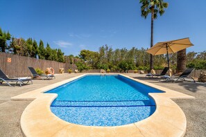 A rectangular swimming pool with a tiled edge, surrounded by lounge chairs and a palm tree. - Finca with pool Son Manyo 2 Petit in Sa Pobla (Sa Pobla)