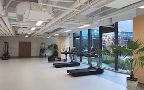 A spacious indoor area with exercise equipment, large windows, and indoor plants.