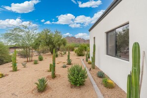 A desert garden with various cacti and small shrubs, a white building with a window, and a clear blue sky with clouds. - PV Getaway: Heated Pool and Private Pickleball! (Paradise Valley)