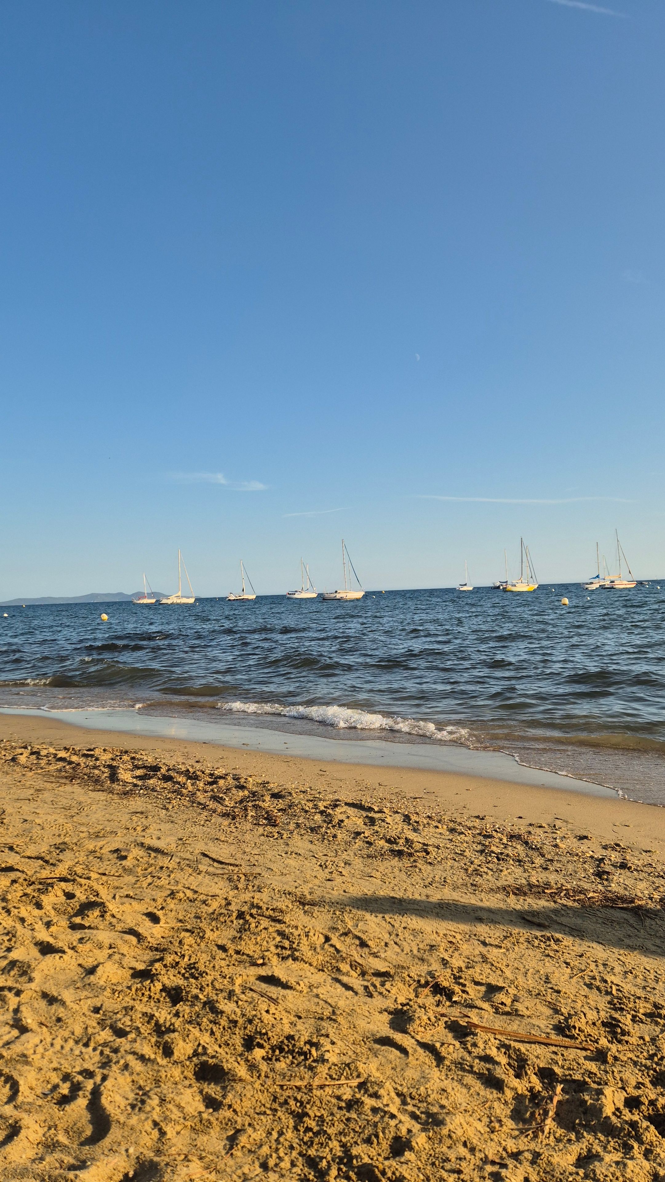 A beach with a sandy shore and several sailboats in the water.