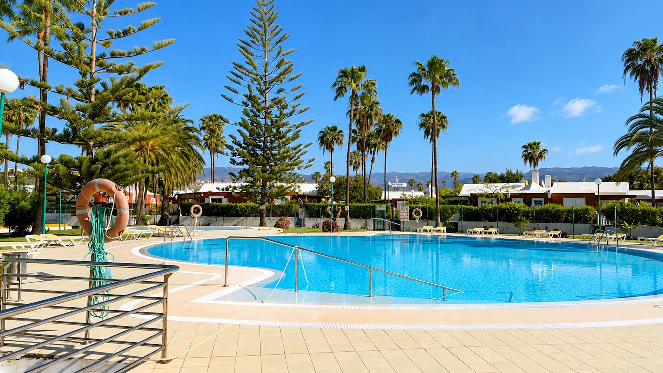 Ein Pool mit gewölbter Kante, umgeben von Palmen und Liegestühlen.