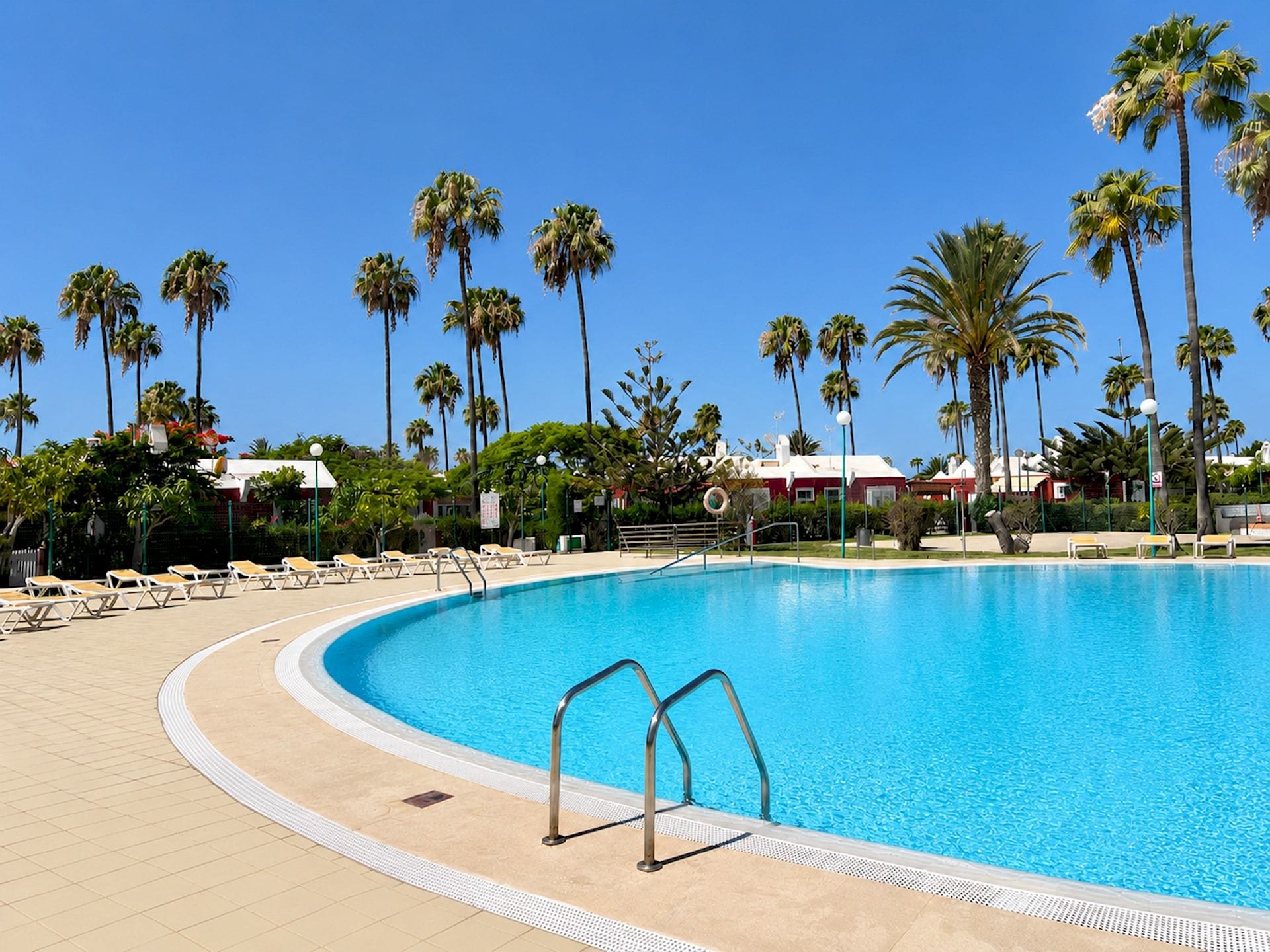 A swimming pool with a curved edge, surrounded by palm trees and lounge chairs.