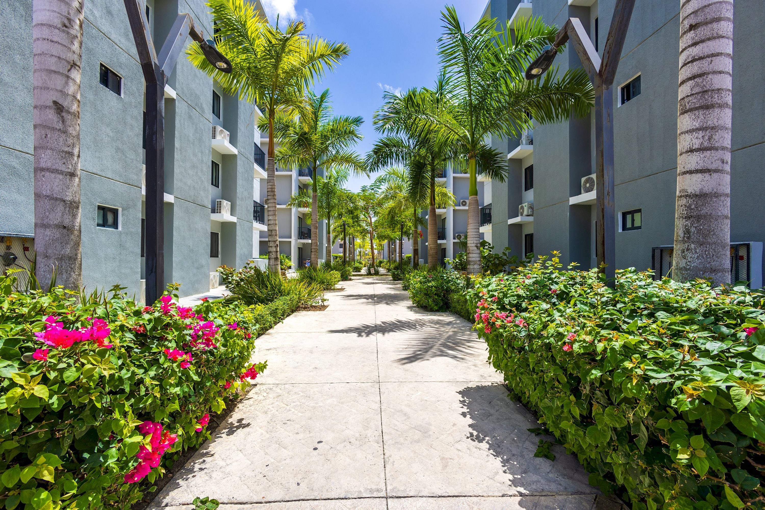 A pathway flanked by lush greenery and palm trees, leading to a modern building with multiple balconies.