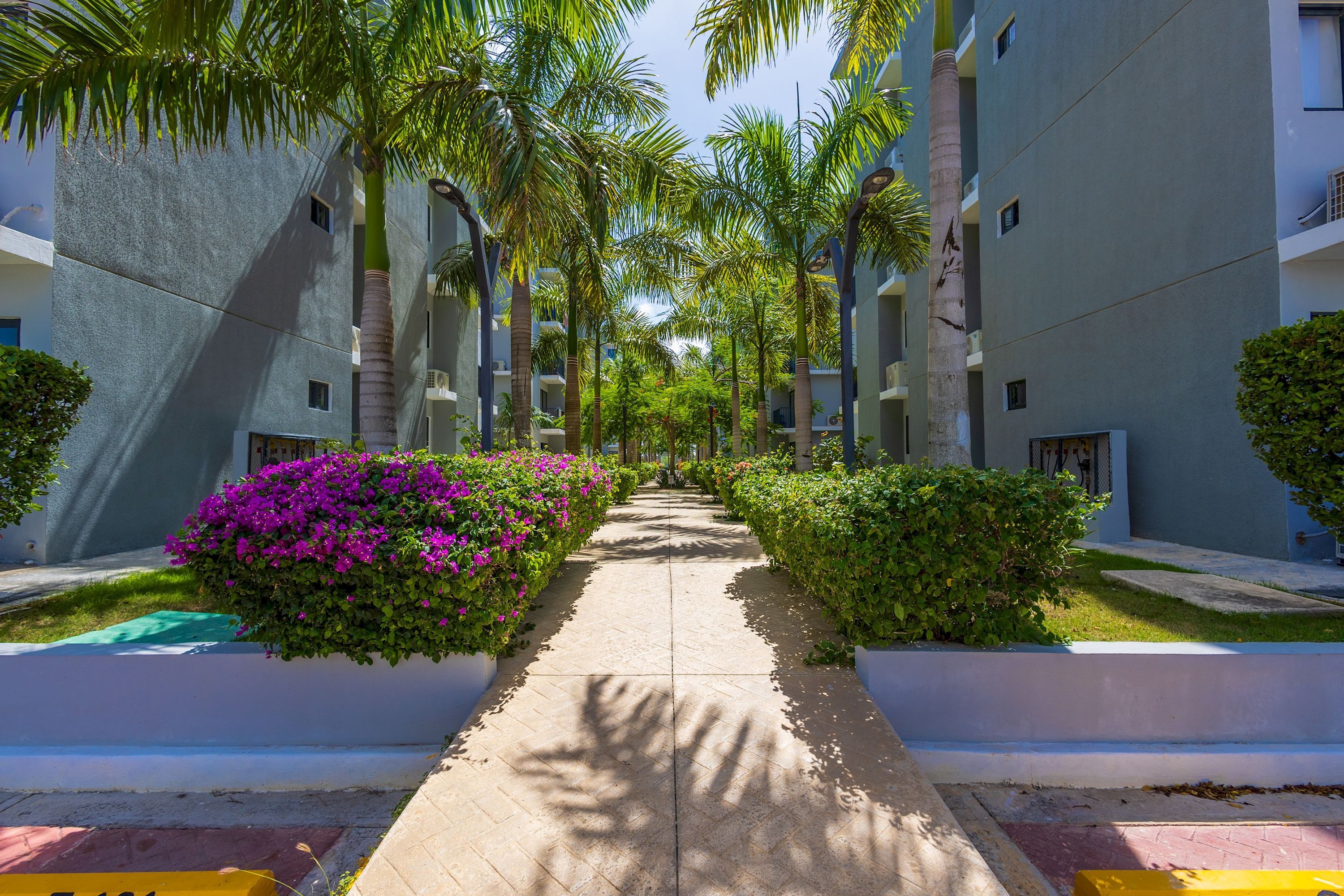 A pathway flanked by palm trees and flowering bushes, leading to a modern building with balconies.