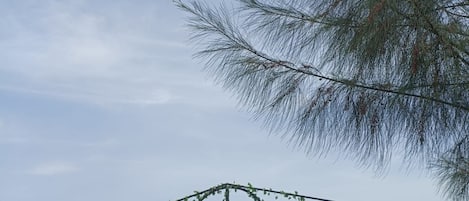 Cielo despejado con un árbol y una estructura cubierta de hiedra.