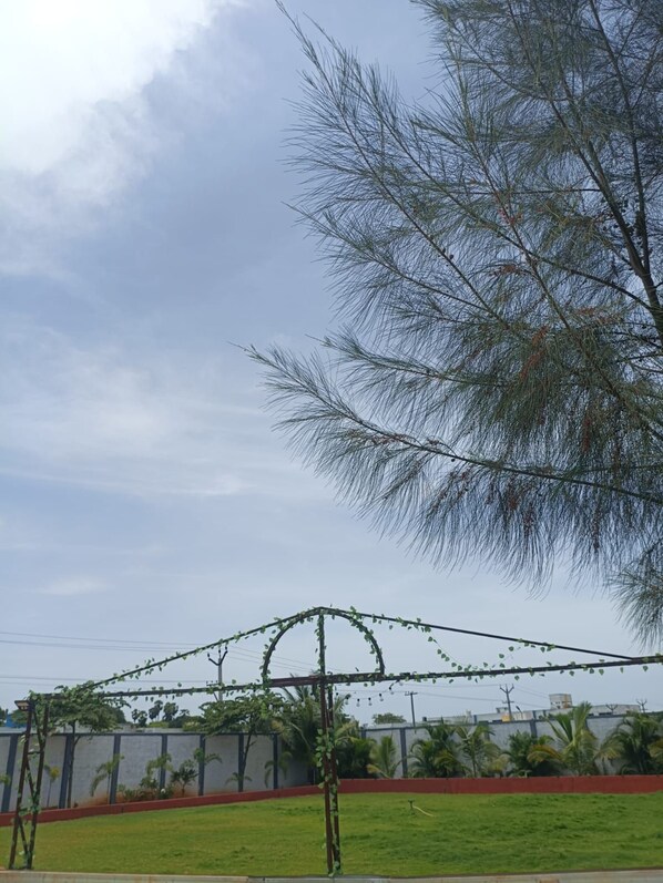 A clear sky with a tree and a structure with vines.