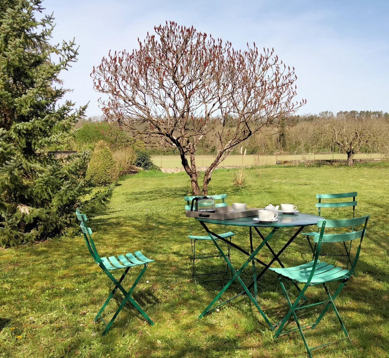 An outdoor dining area with a table and chairs, surrounded by grass and trees.