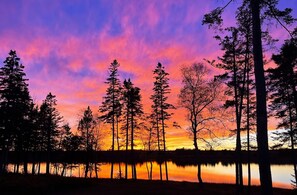 A forest with tall trees and a calm body of water reflecting the sky. - New 8 BR Home, New Listing, sleeps 25, Pets, Kids, Mini Resort (Lamoine)