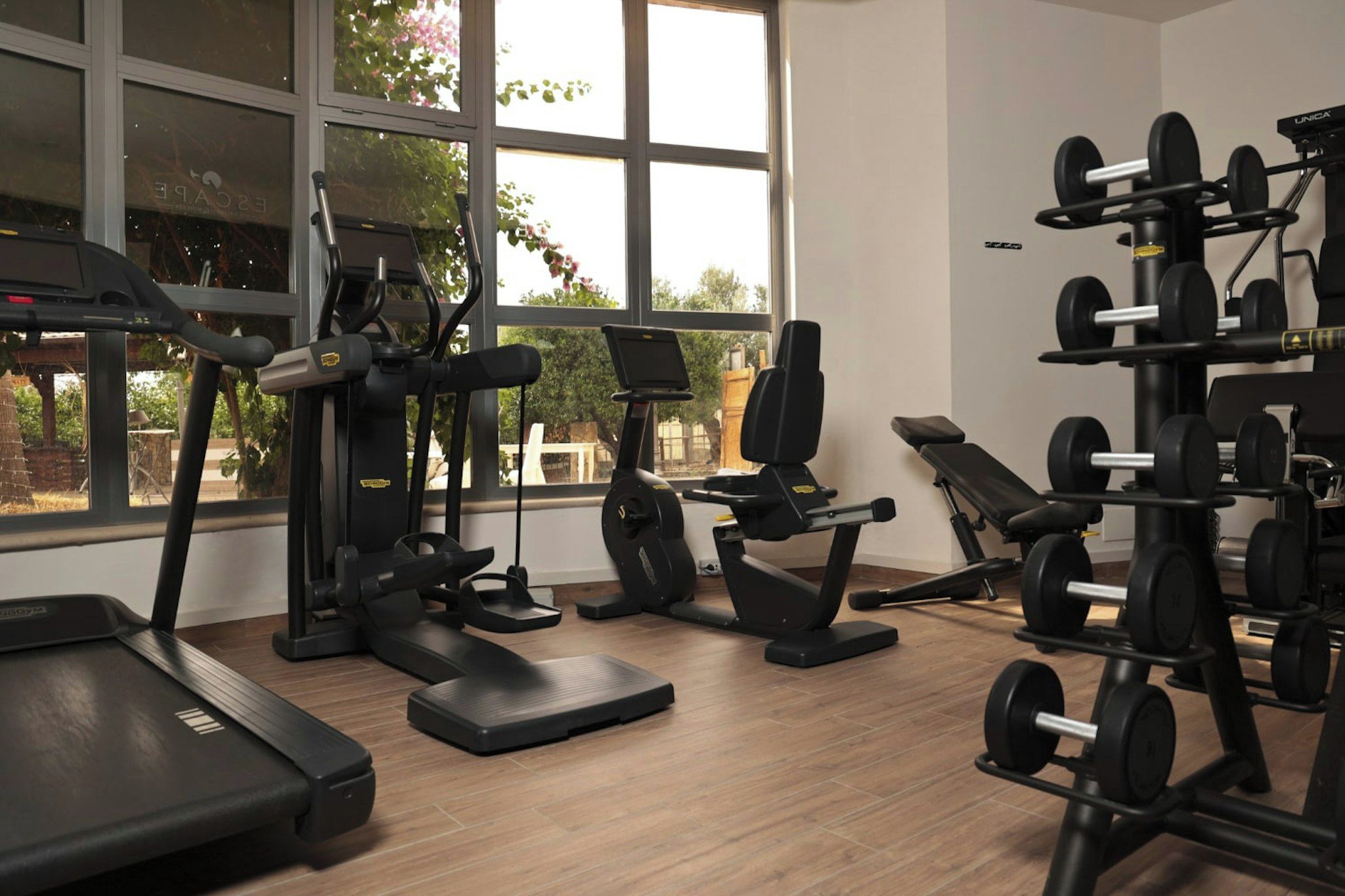 A gym with treadmills, weight benches, and free weights.