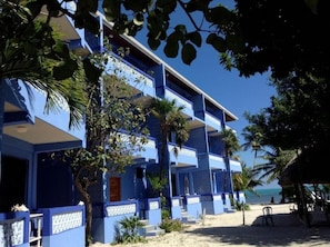 Un hôtel à plusieurs étages doté de balcons, offrant une vue sur la plage et bordé de palmiers.