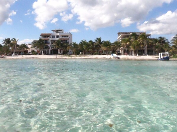 Una propiedad frente a la playa con aguas cristalinas, palmeras y un edificio de varios pisos.