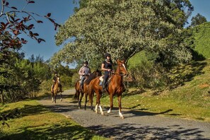 A paved path with riders on horses, surrounded by greenery and trees. - Botanique Hotel and Spa (Campos do Jordão)