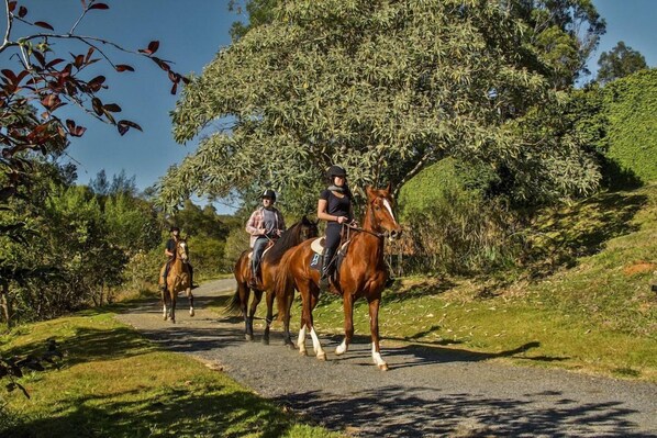Un camino empedrado con jinetes a caballo, rodeado de follaje y árboles.