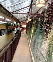 A corridor with a metal roof, potted plants, and a view into a room with a door.