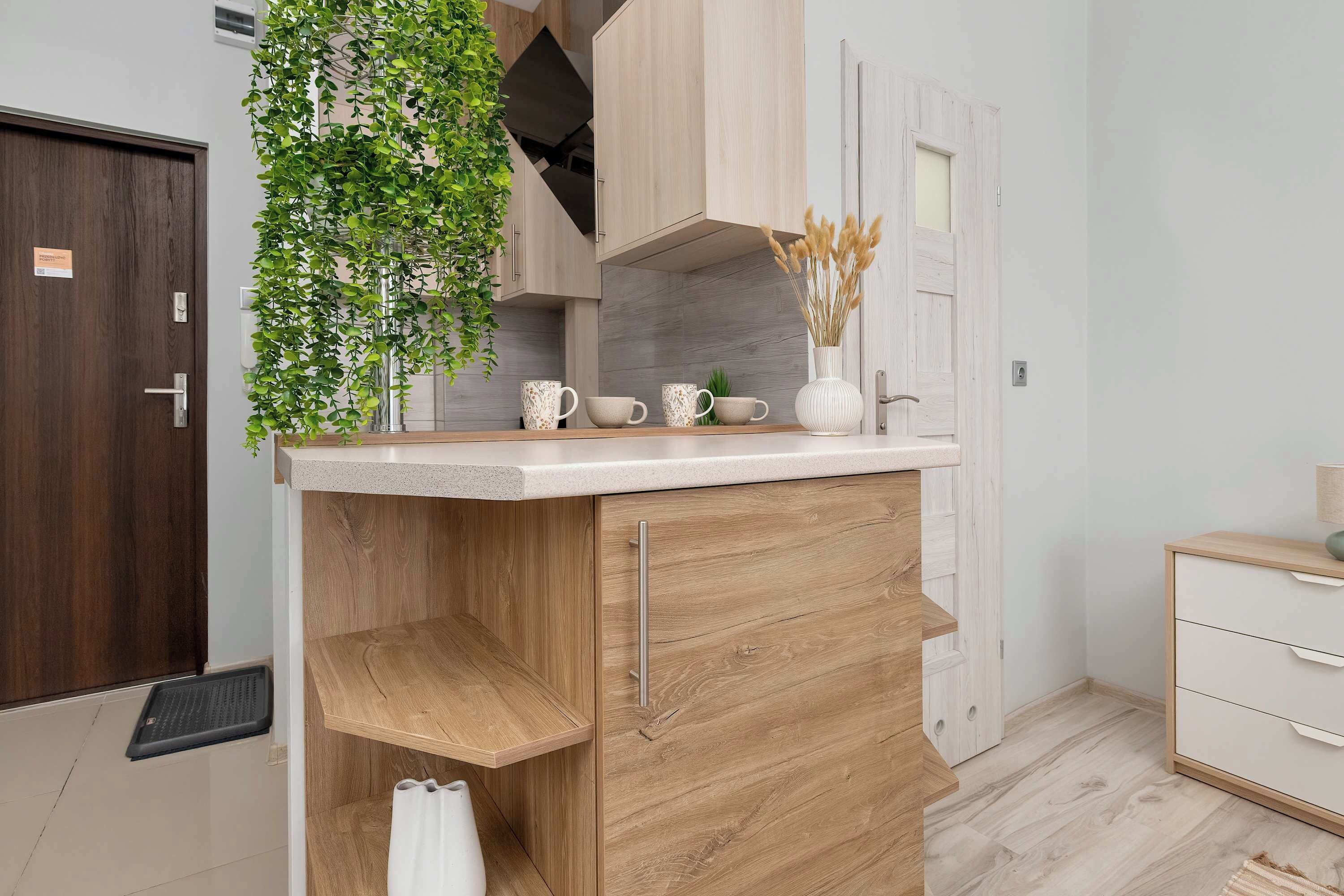 Una cocina con encimera de madera, una planta colgante y un armario blanco.