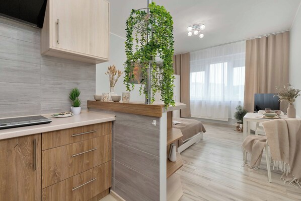 A modern kitchen with wooden cabinets, a built-in stove, and a hanging plant. - Bright Studio Flat for Two | Near the Railway Station (Gdańsk)