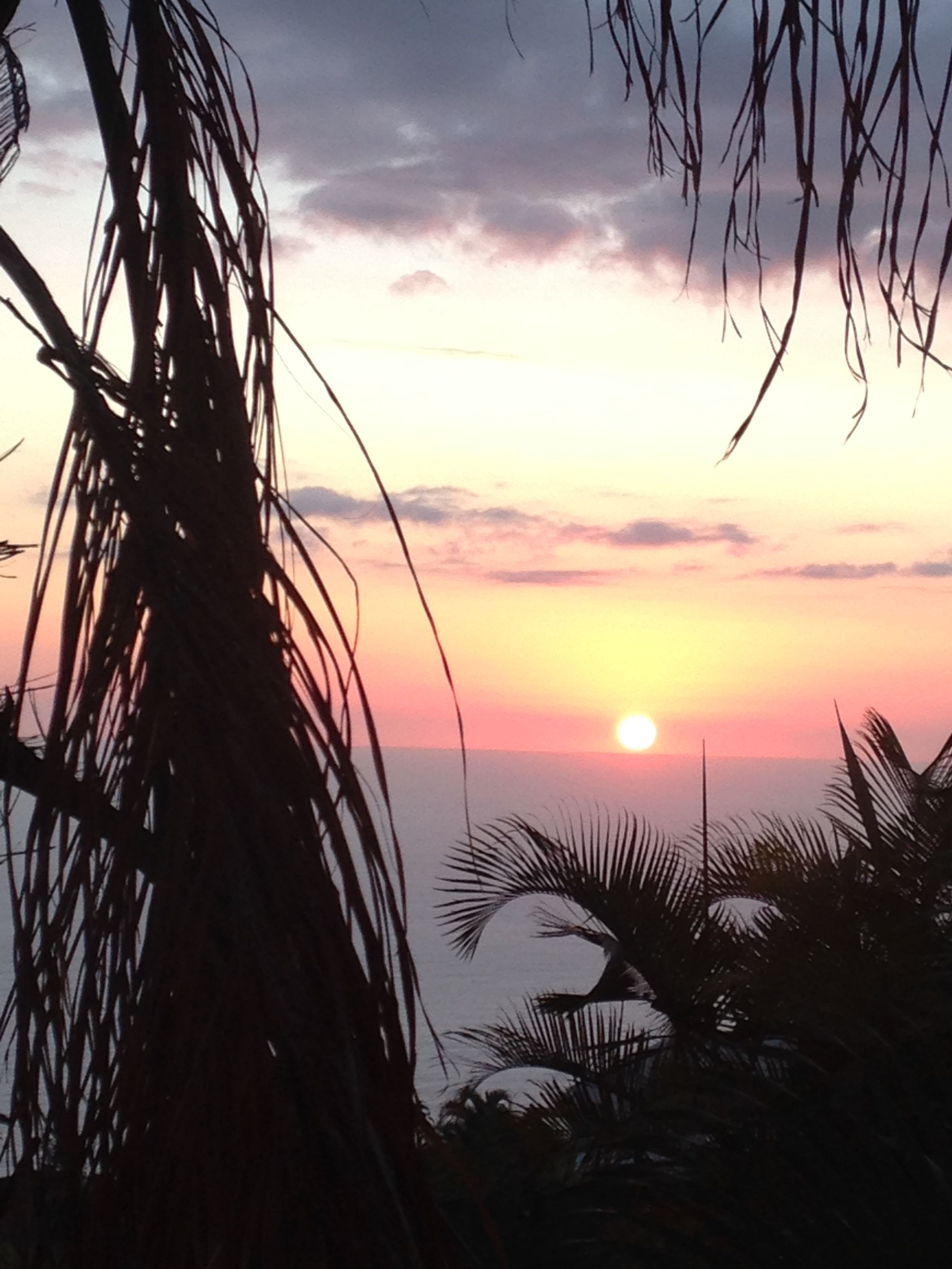 A sunset with silhouettes of palm trees and a clear sky.