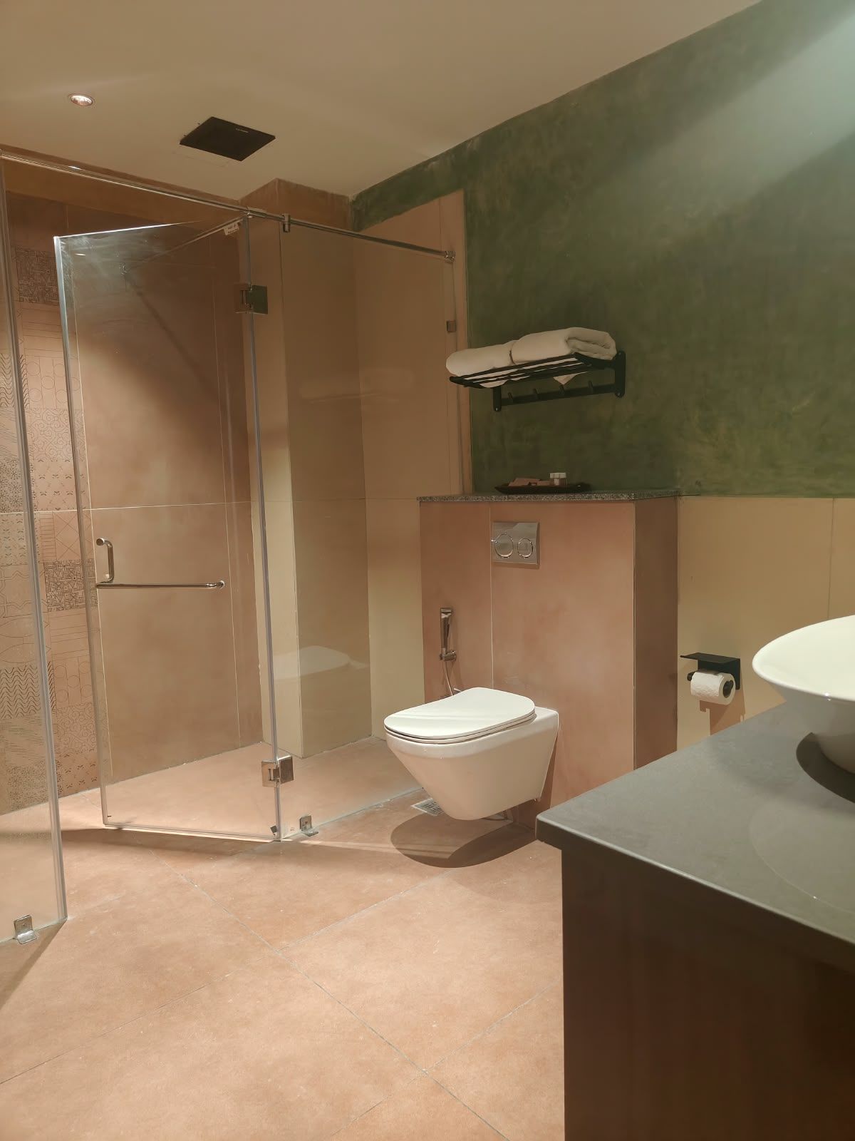 A modern bathroom with a glass-enclosed shower, a toilet, and a sink.