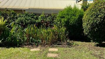 A grassy area with a pathway leading to a building with a corrugated metal roof.