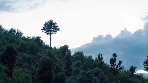 Exterior - Sharan Stay (Naggar)