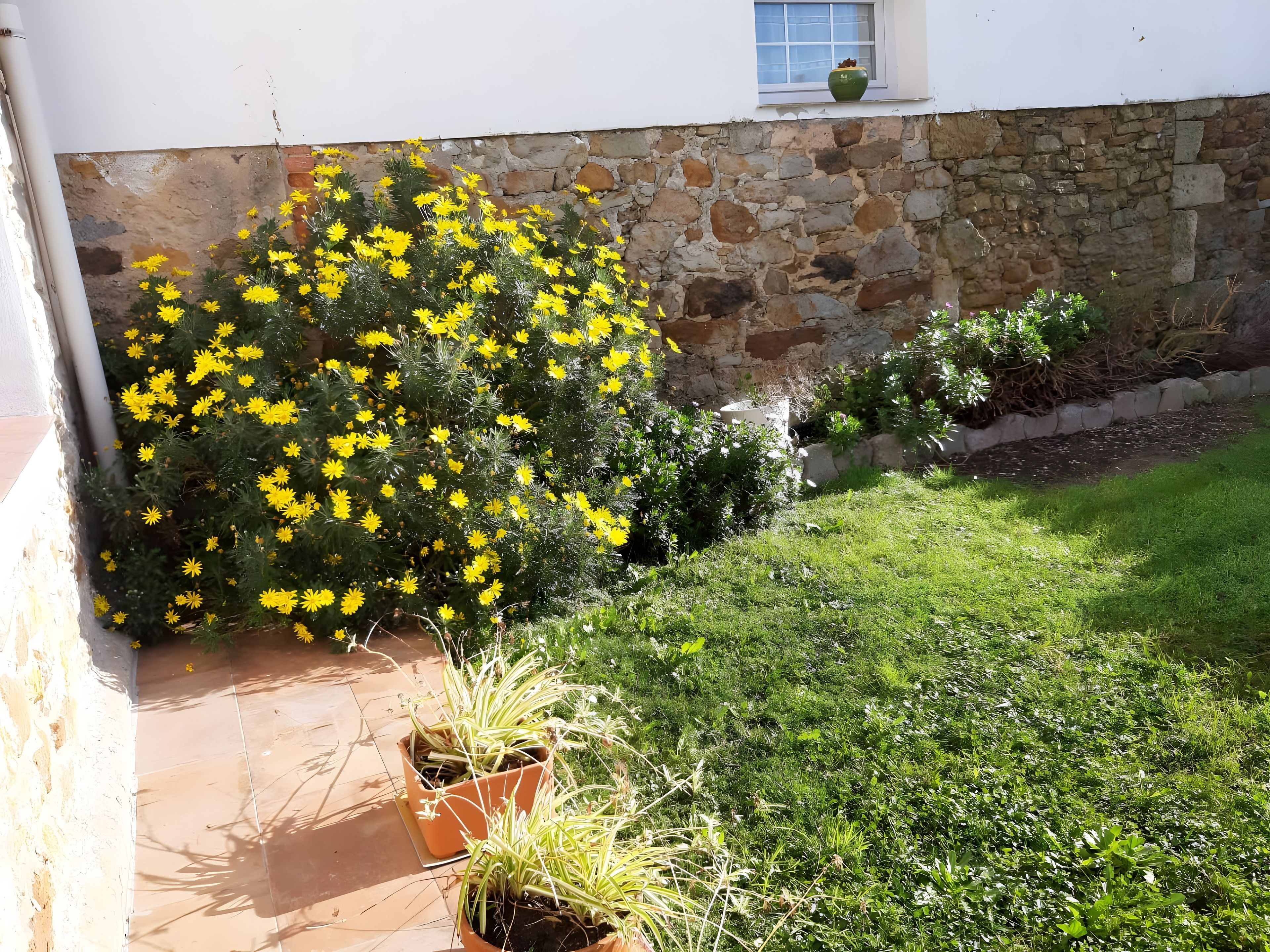 A garden with yellow flowers, a stone wall, and a grassy area.