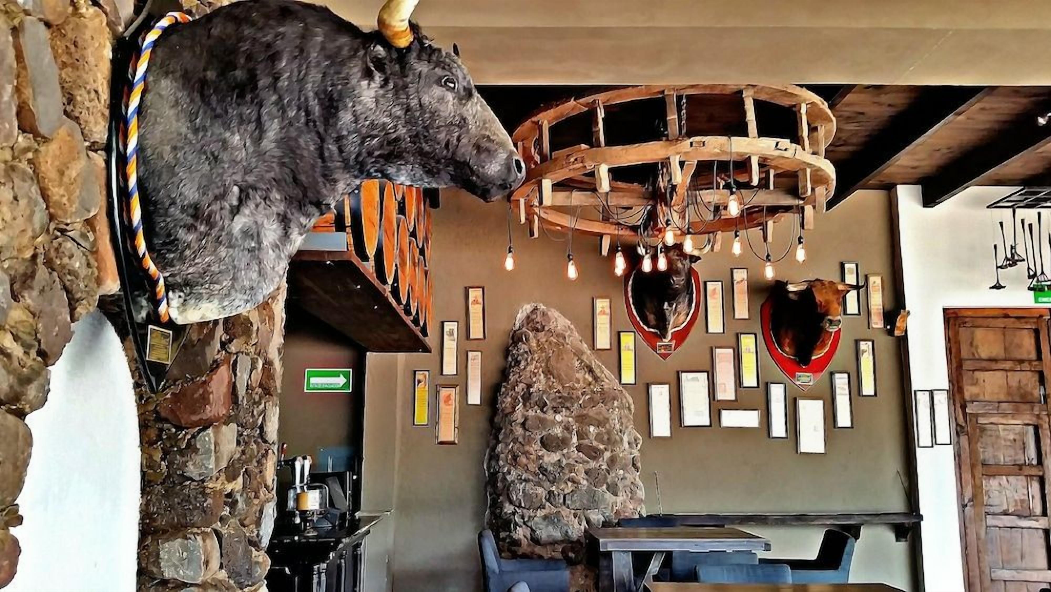 Un interior rústico con una pared de piedra, una araña y una escultura de cabeza de toro.