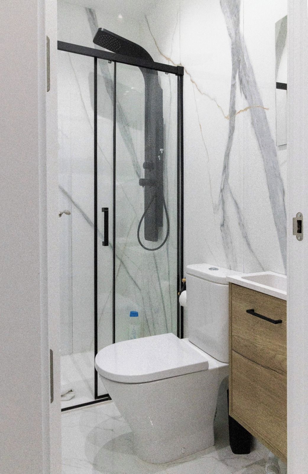 A bathroom with a glass-enclosed shower, a toilet, and a vanity with a mirror.
