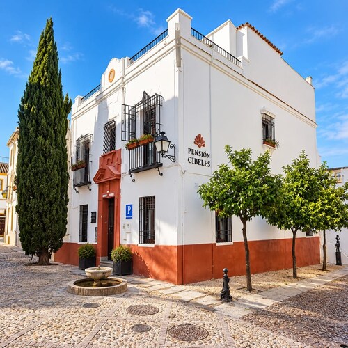 PENSION CIBELES