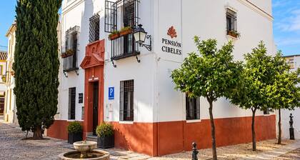PENSION CIBELES