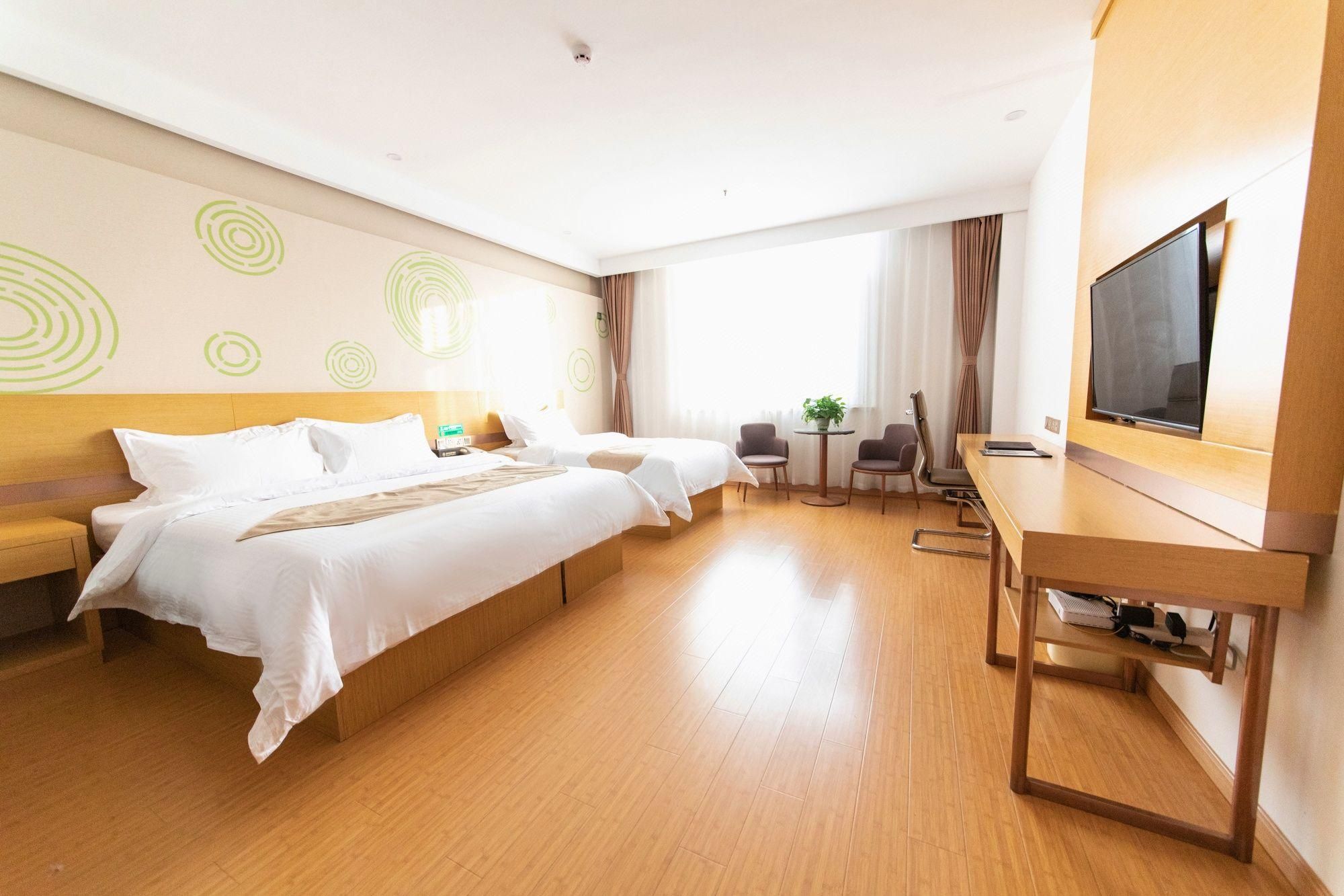Habitación de hotel con dos camas, un escritorio, una silla, un televisor y una pequeña mesa con una planta.