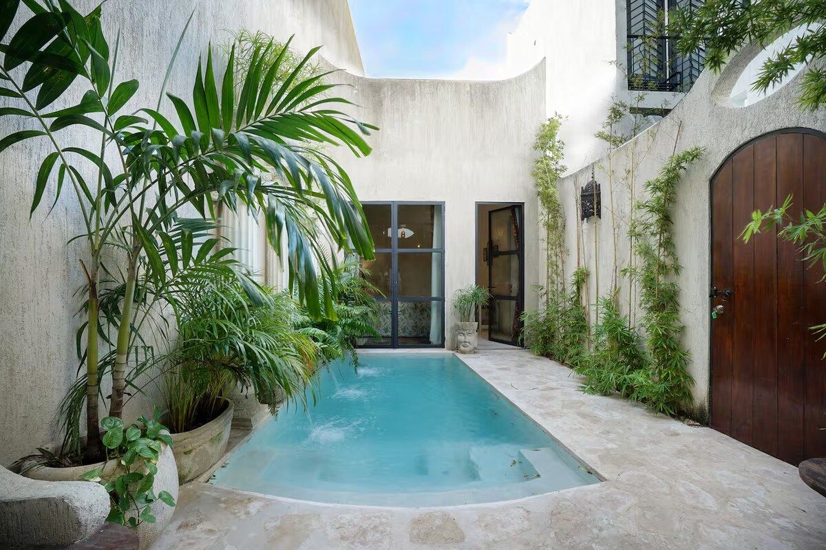 A swimming pool with surrounding greenery, a wooden door, and a concrete wall.