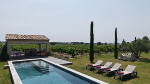 Een zwembad met ligbedden, een pergola en een wijngaard op de achtergrond.