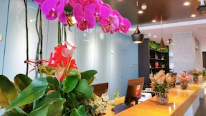 A reception desk with a computer, a plant, and a large window. - Ibis Hotel (Beijing)