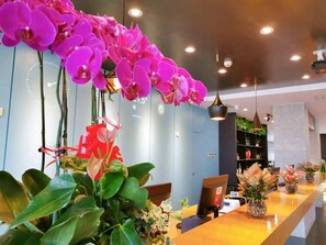 Un comptoir d’accueil avec un ordinateur, une plante et une grande fenêtre.
