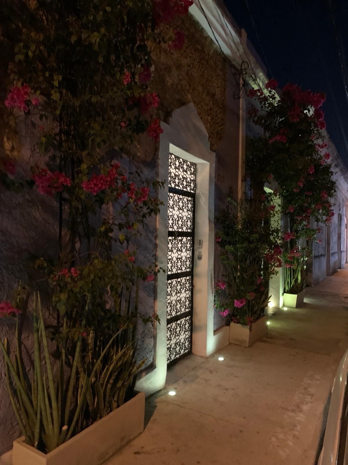 Vista nocturna de un edificio con una puerta metálica decorativa, plantas en macetas y un camino que lleva a la entrada.