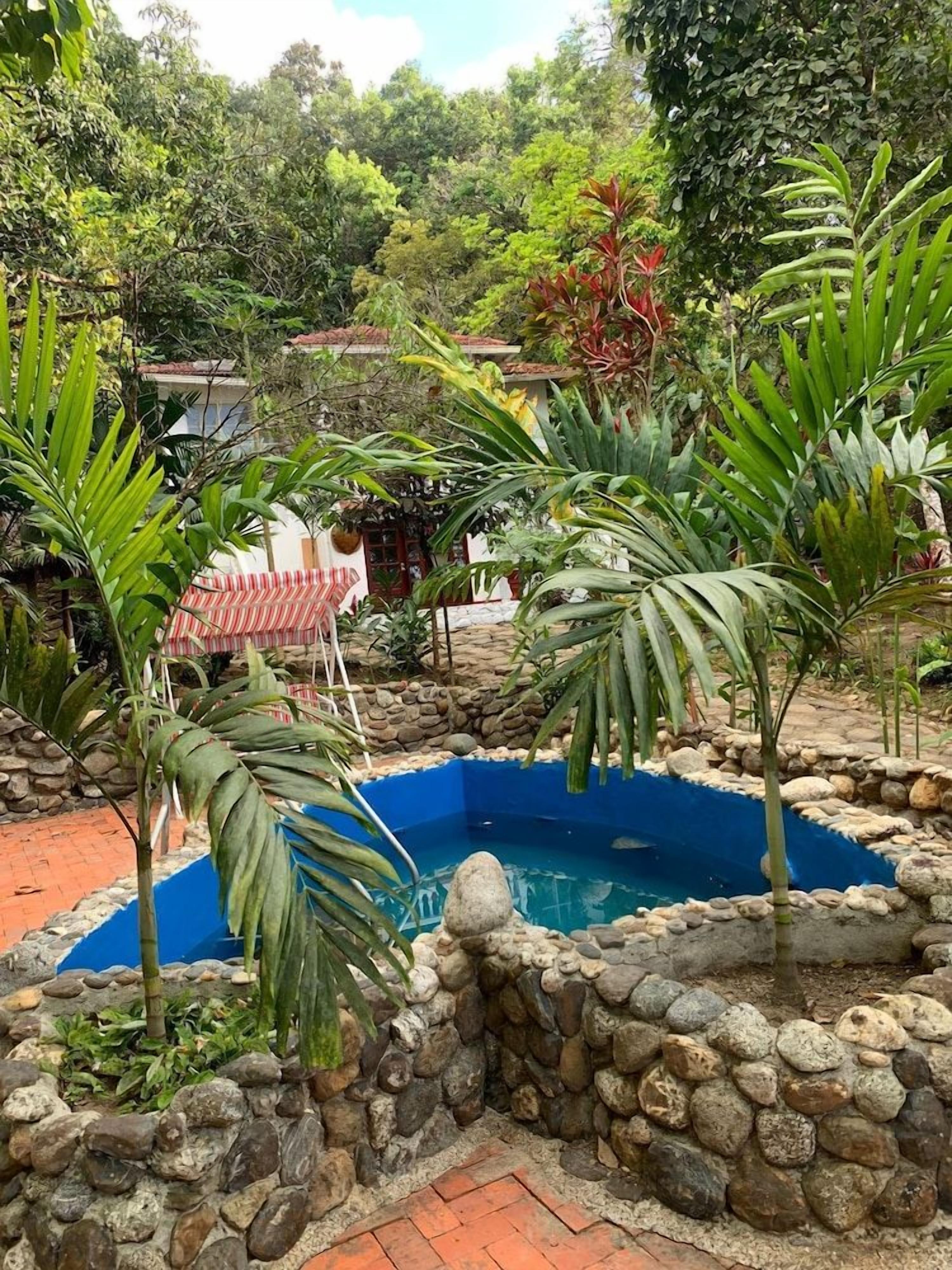 A small pool surrounded by a stone wall, with tropical plants and a red and white striped umbrella nearby.