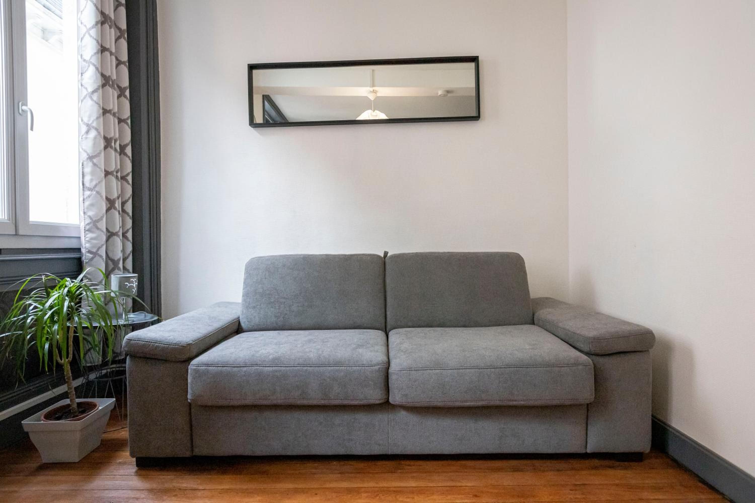 Un canapé gris placé dans un coin d’une pièce, avec une fenêtre, une plante en pot et un miroir fixé au mur.