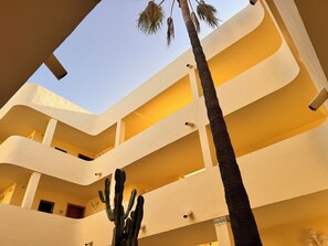 Un immeuble à plusieurs étages, avec un cactus au premier plan, des balcons et un ciel dégagé.
