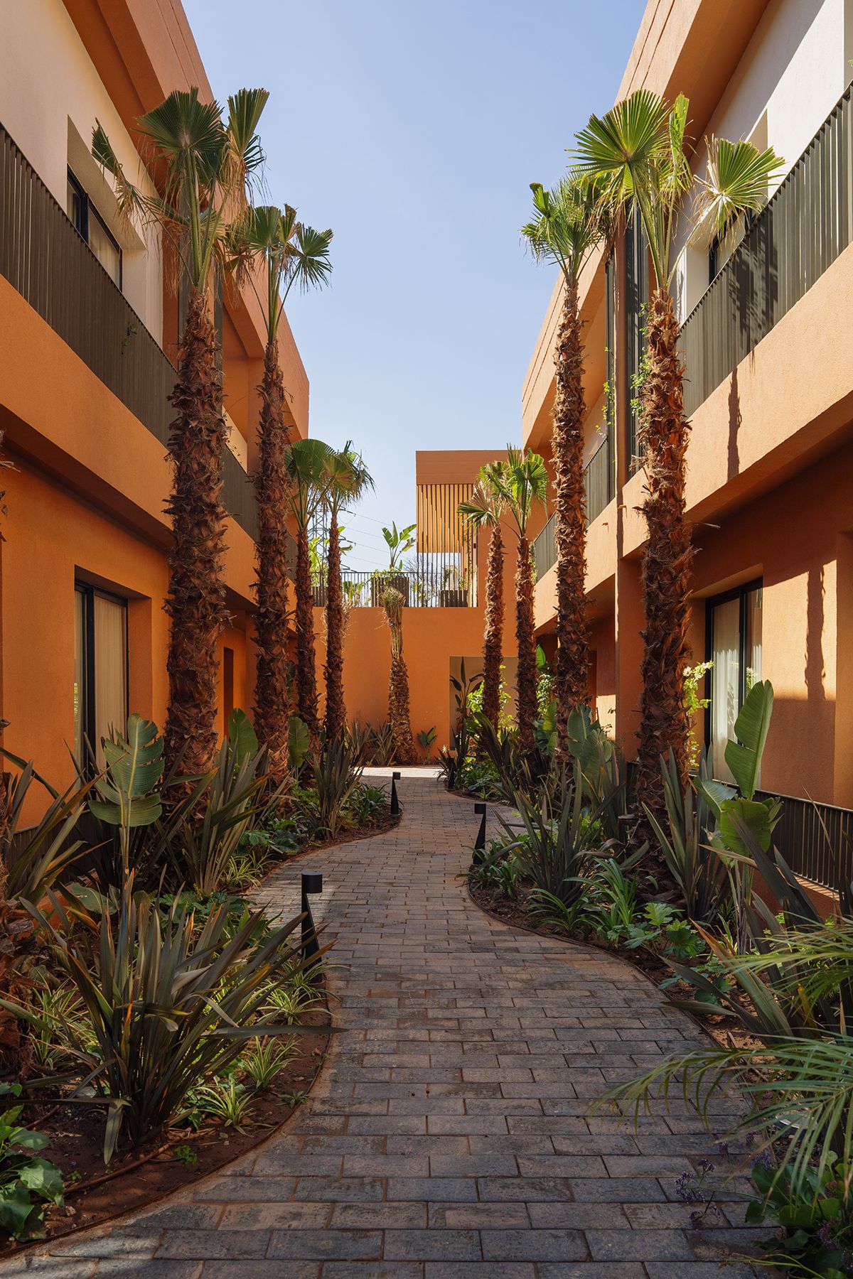 A courtyard with a brick pathway, palm trees, and a building with balconies.