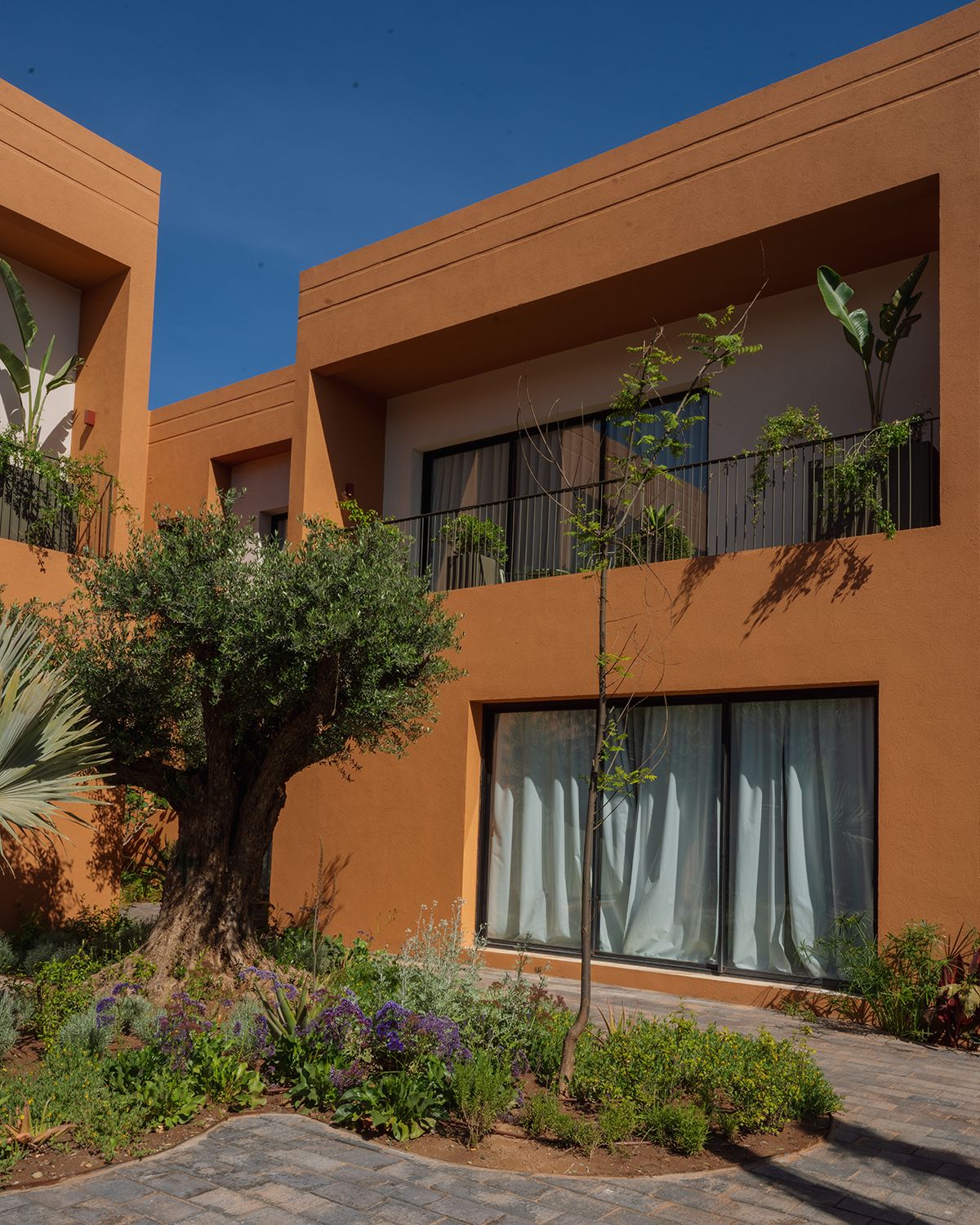 A modern building with a flat roof, large windows, and a landscaped garden with various plants.